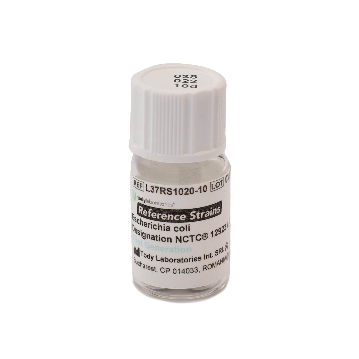 Escherichia coli ATCC® 8739 / NCTC® 12923